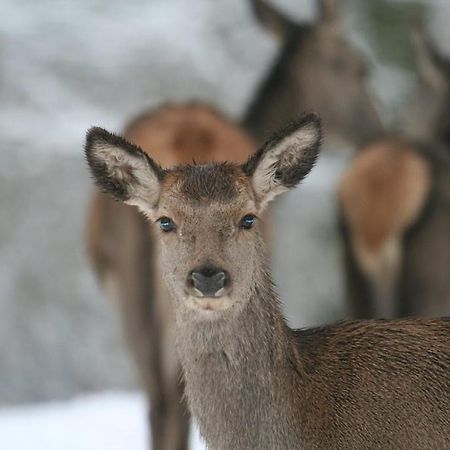 Gite Le Cerf Pantin 생위베르 외부 사진